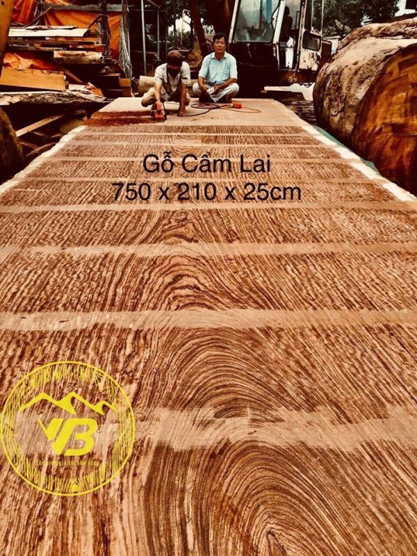 Chiếu ngựa 1 tấm gỗ Cẩm lai (đang hoàn thiện) CN04 1