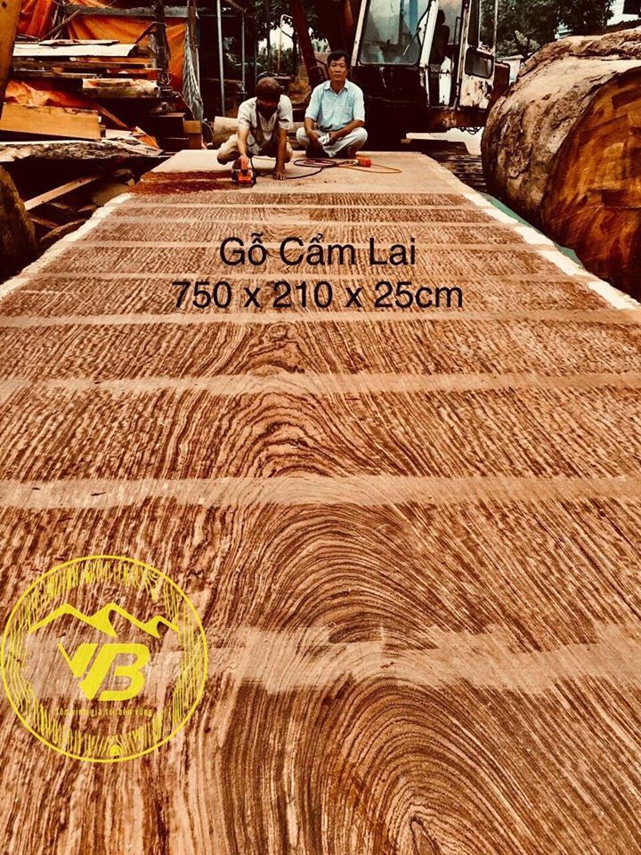 Chiếu ngựa 1 tấm gỗ Cẩm lai (đang hoàn thiện) CN04 1