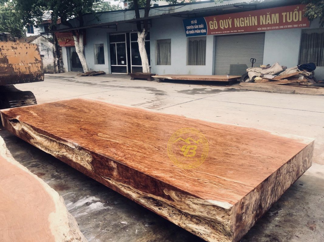 Chiếu ngựa 1 tấm gỗ Cẩm Lai hàng khủng CN02 5