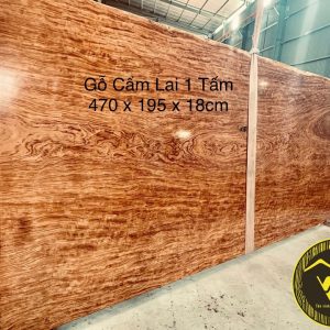 Chiếu ngựa 1 tấm vân chun Gỗ Cẩm lai CN07 1