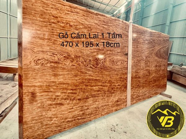 Chiếu ngựa 1 tấm vân chun Gỗ Cẩm lai CN07 1