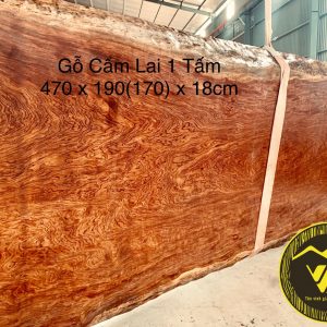 Chiếu ngựa 1 tấm vân chun gỗ Cẩm lai CN09 1