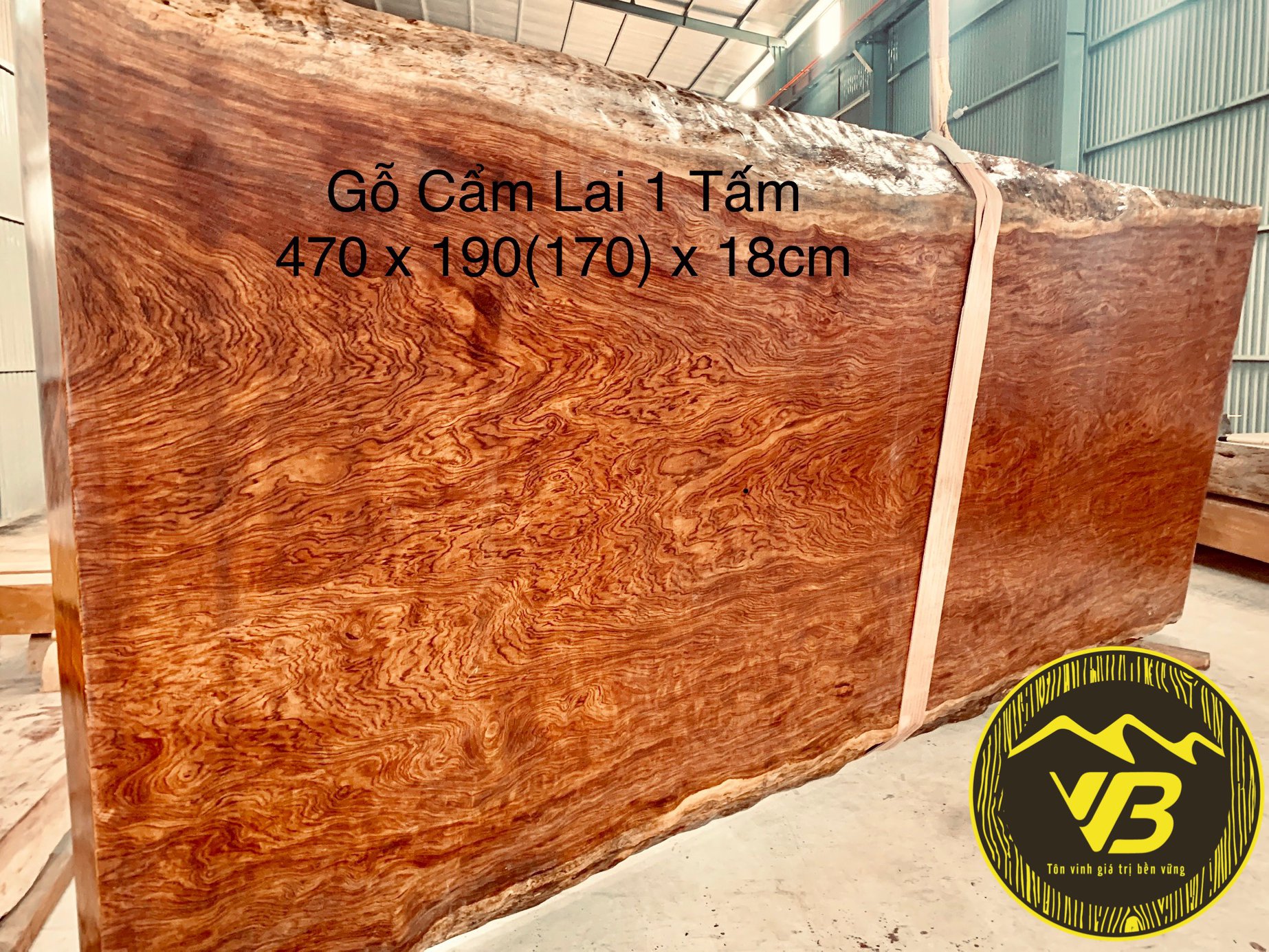 Chiếu ngựa 1 tấm vân chun gỗ Cẩm lai CN09 1