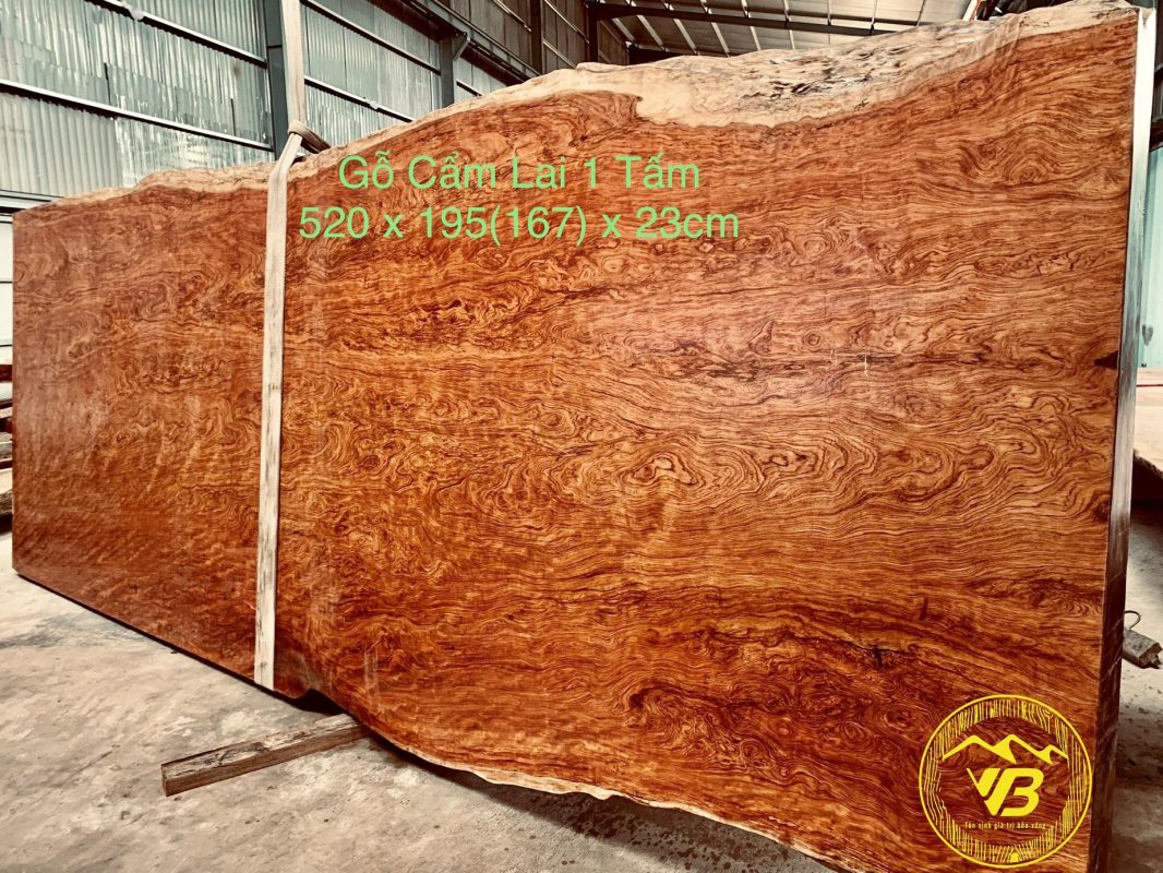 Chiếu ngựa 1 tấm vân chun gỗ Cẩm Lai đẹp CN11 1