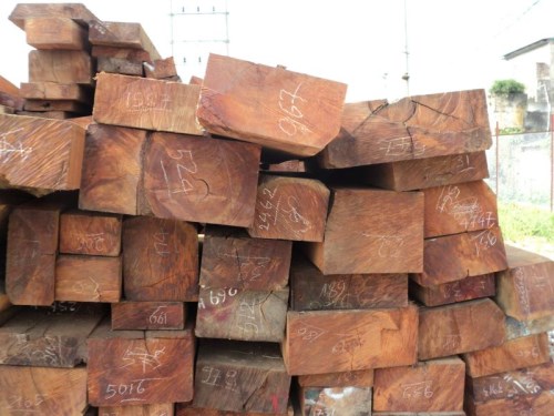 Các loại gỗ Hương và cách phân biệt các loại gỗ Hương 2