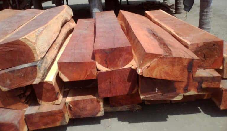 Phân loại các loại gỗ Cẩm và ứng dụng gỗ Cẩm 1