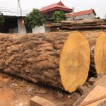 Ưu nhược điểm của gỗ Cẩm bạn đã biết?