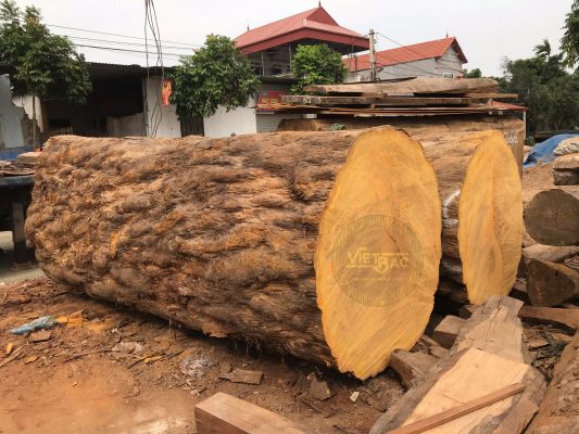 Ưu nhược điểm của gỗ Cẩm bạn đã biết? 1
