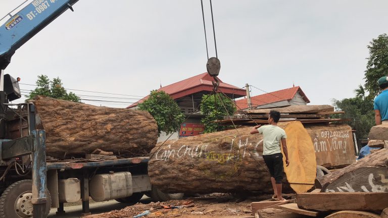 Ưu nhược điểm của gỗ Cẩm bạn đã biết? 2