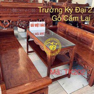 Trường Kỷ Đại Vân Chun Đẳng Cấp TK202 1