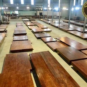 Những Mẫu chiếu ngựa siêu đẹp 1