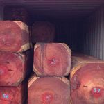 Đặc điểm Gỗ Hương Đỏ và ứng dụng