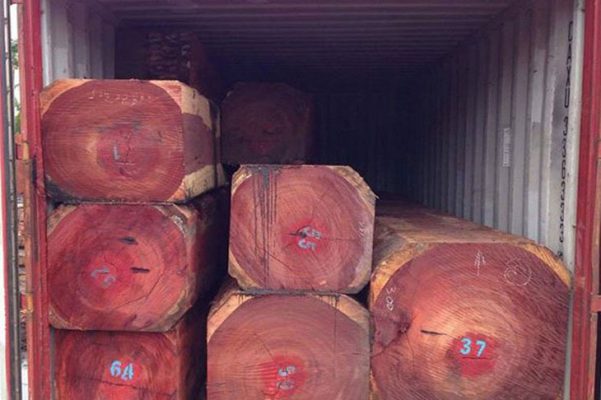 Đặc điểm Gỗ Hương Đỏ và ứng dụng 1