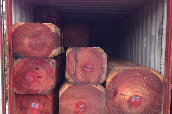 Đặc điểm Gỗ Hương Đỏ và ứng dụng 1