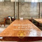 Các Loại Gỗ Dùng Làm Chiếu Ngựa phản gỗ nguyên khối