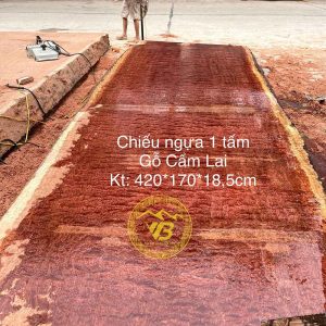 Sập Gỗ Chiếu Phản 1 Tấm Vẫn Mộc CN30 3