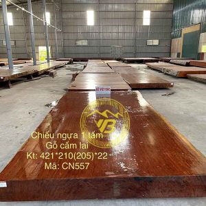 Sập chiếu phản 1 tấm gỗ Cẩm Lai CN557 1