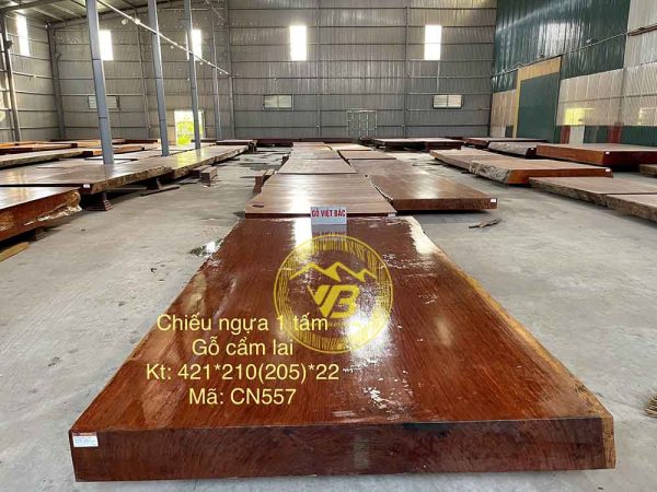 Sập chiếu phản 1 tấm gỗ Cẩm Lai CN557 1