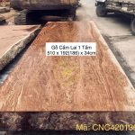 Chiếu ngựa phản gỗ nguyên khối nghìn năm tuổi