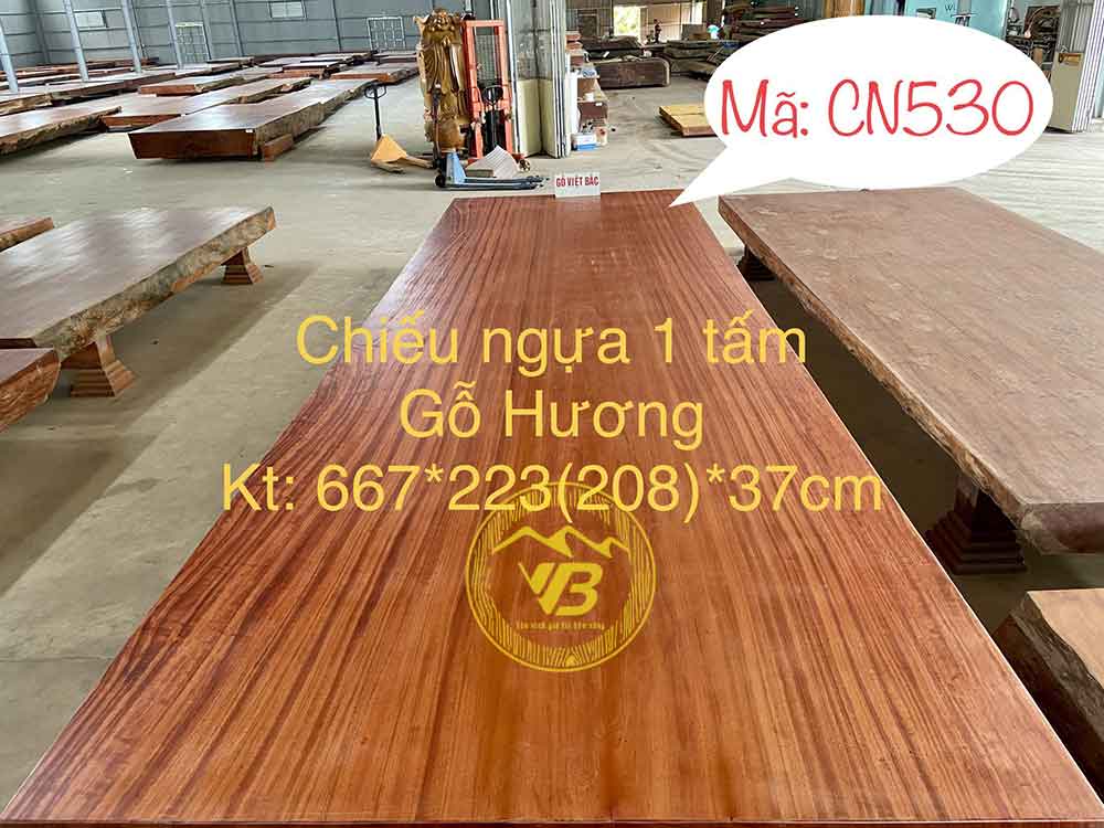 Tổng hợp những mẫu chiếu ngựa gỗ siêu khủng VIP 9
