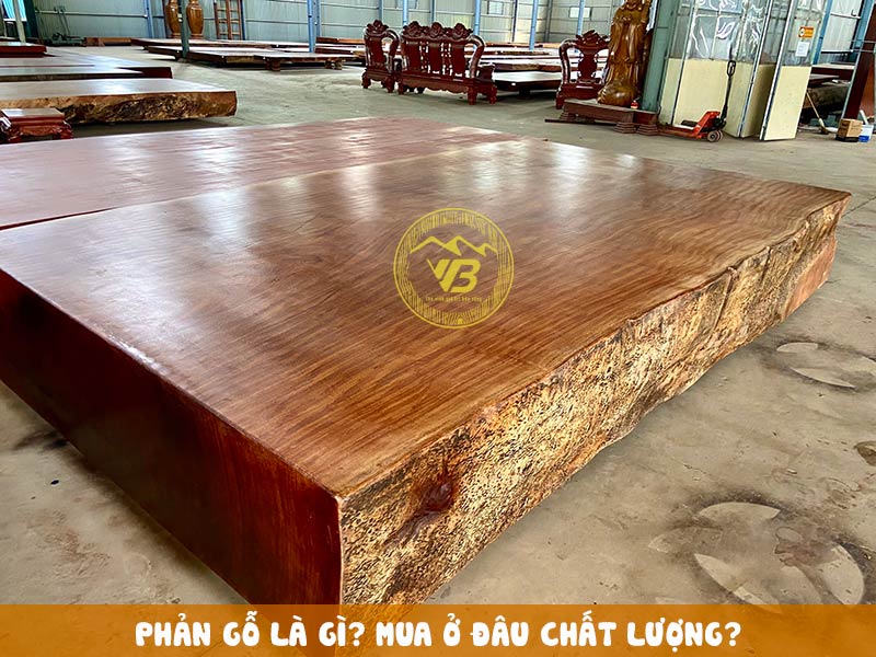 Phản gỗ nguyên khối là gì? Mua ở đâu? 3