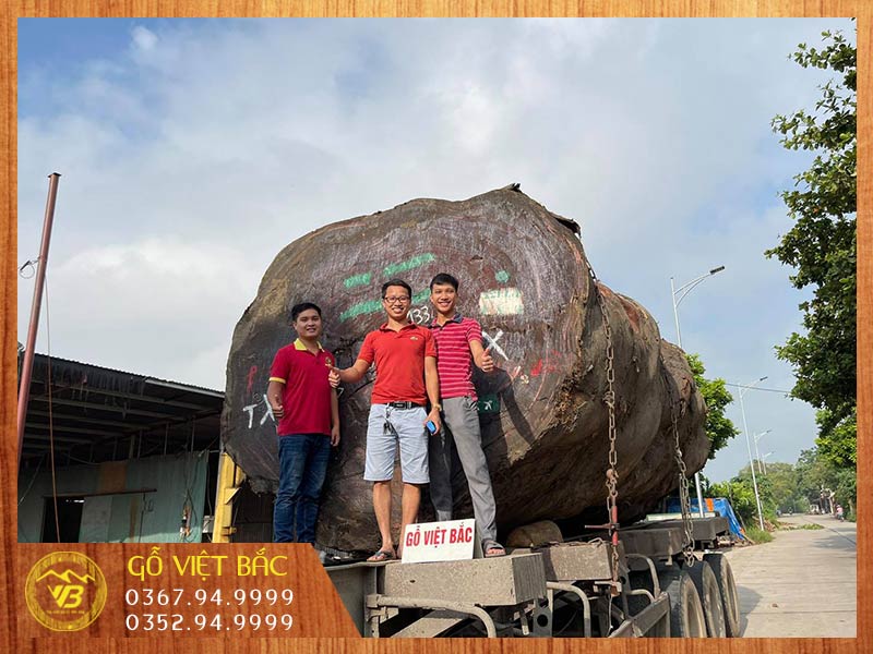 Cửa hàng bán đồ nội thất uy tín Việt Trì Phú Thọ