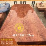 Chiếu ngựa gỗ là gì?