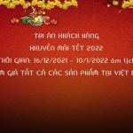 Gỗ Việt Bắc khuyến mãi dịp tết nguyên đán 2022