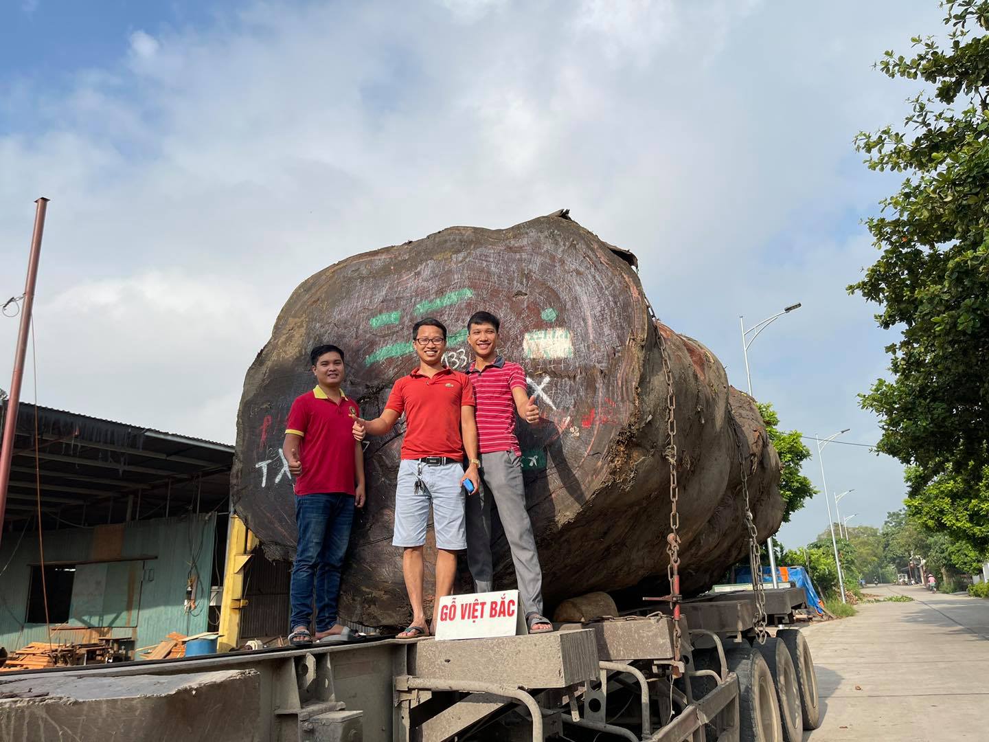 gỗ việt bắc