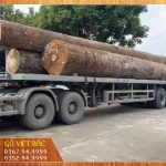 Gỗ Việt Bắc về lô Đinh Hương, Cẩm Lai lớn nhất Việt Nam