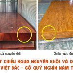 Hướng dẫn phân biệt chiếu ngựa thật và chiếu ngựa giả