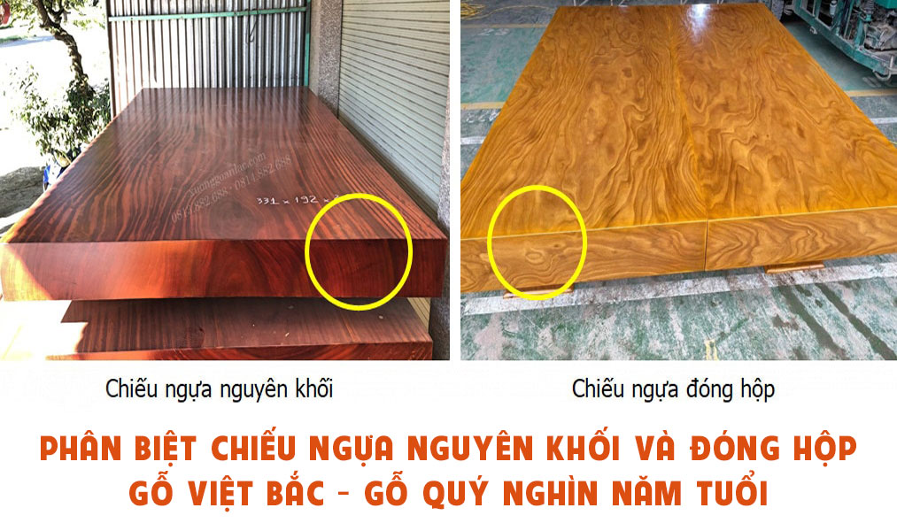 phân biệt chiếu ngựa thật và chiếu ngựa giả