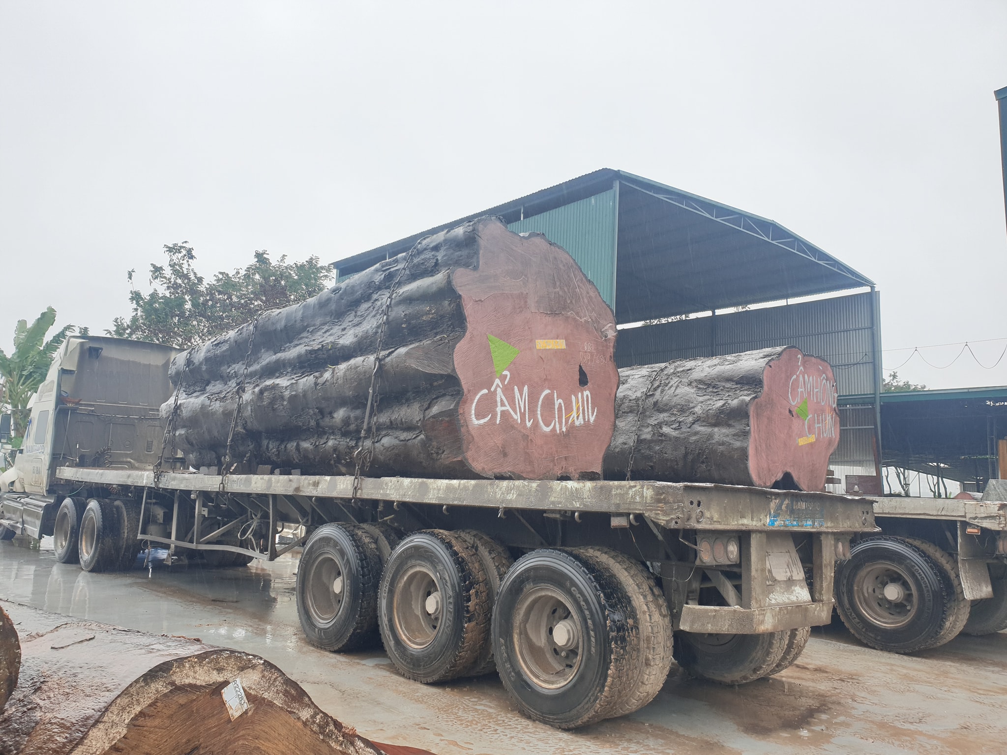 Xưởng sản xuất chiếu ngựa, phản gỗ lớn nhất Việt Nam 2