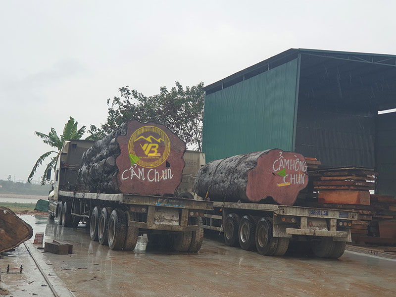 Quy trình sản xuất chiếu ngựa phản gỗ tự nhiên 1