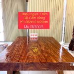 Chiếu ngựa gỗ Cẩm Hồng 1 tấm hàng tuyển chọn