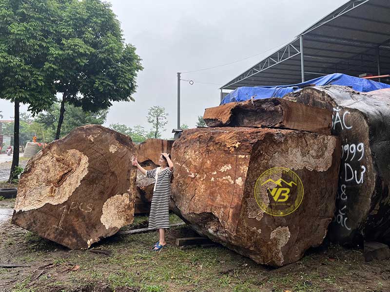 Địa chỉ bán tấm phản gỗ nguyên khối uy tín 1