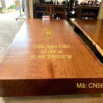 Chiếu ngựa cẩm lai có tốt cho sức khoẻ không?