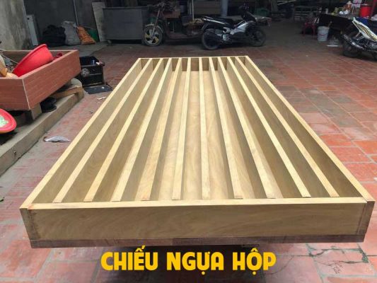 Chiếu ngựa hộp