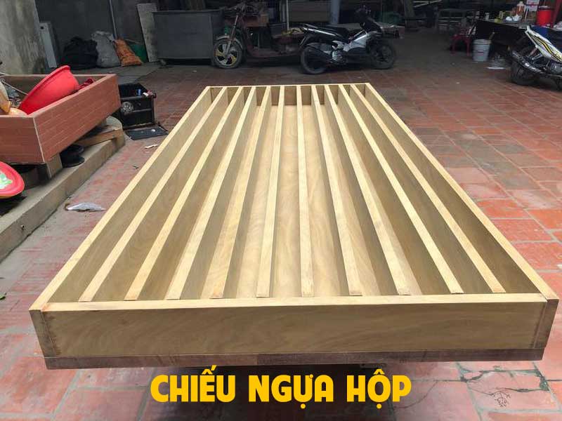 Chiếu ngựa hộp