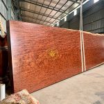 Kinh nghiệm lựa chọn khi đi mua chiếu ngựa