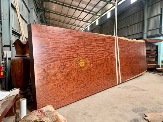 Kinh nghiệm lựa chọn khi đi mua chiếu ngựa 1