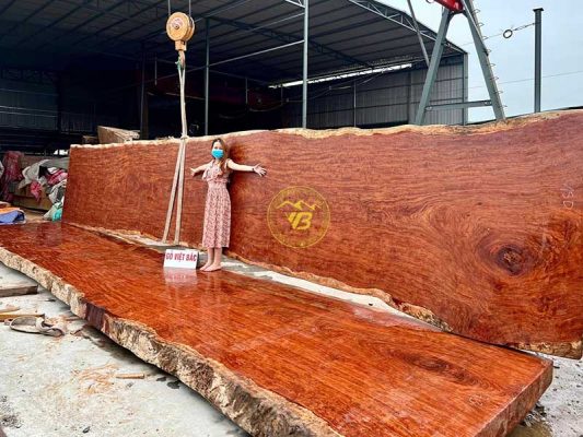 Ưu nhược điểm gỗ cẩm lai - Cách nhận biết gỗ cẩm chuẩn 2